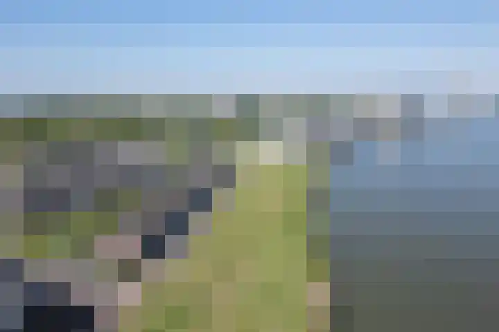 Droogdok 3 Ridderkerk thumbnail 35