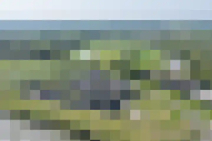 Droogdok 3 Ridderkerk thumbnail 37