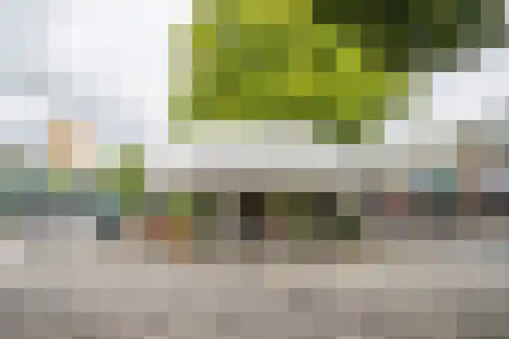 Droogdok 3 Ridderkerk thumbnail 42