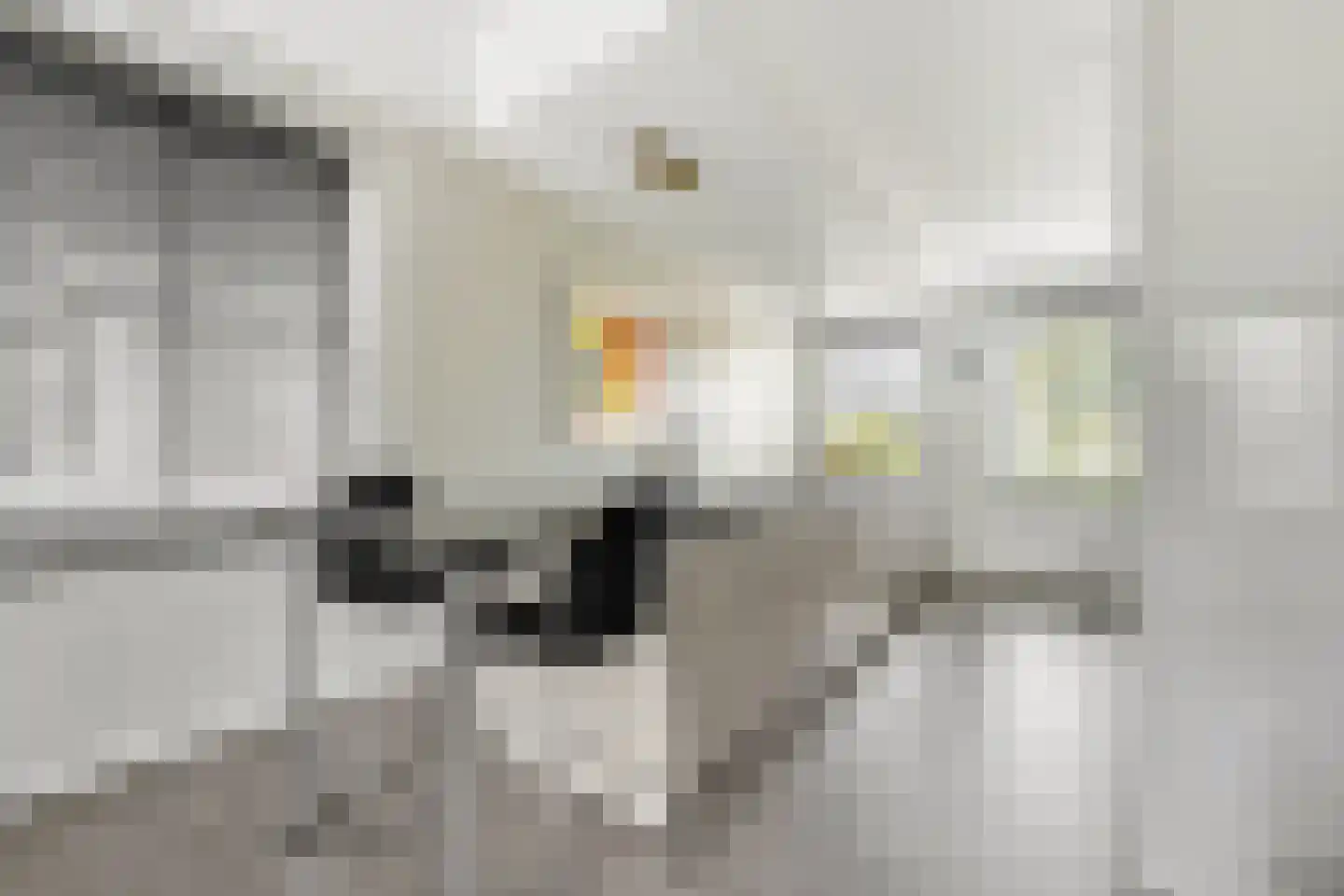 Droogdok 6 Ridderkerk thumbnail 10