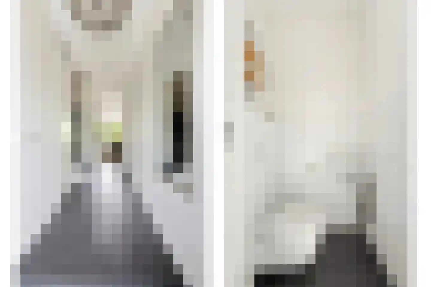 Droogdok 6 Ridderkerk thumbnail 14
