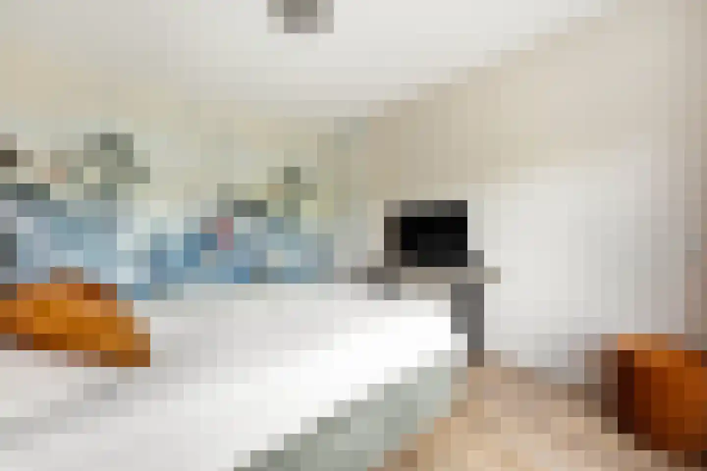 Droogdok 6 Ridderkerk thumbnail 17