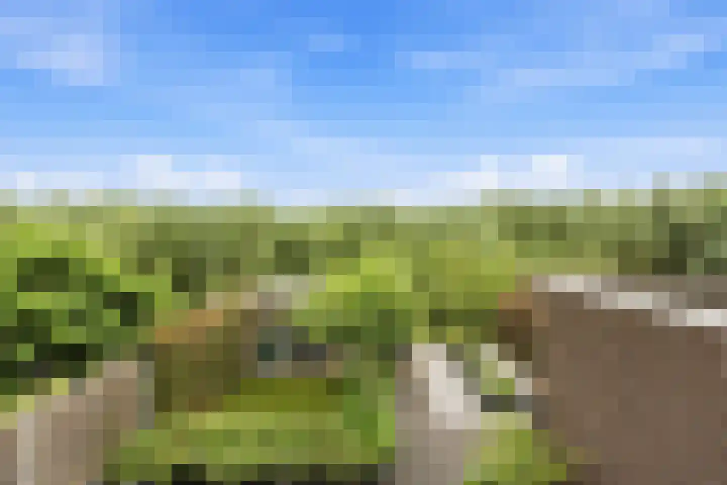 Droogdok 6 Ridderkerk thumbnail 19