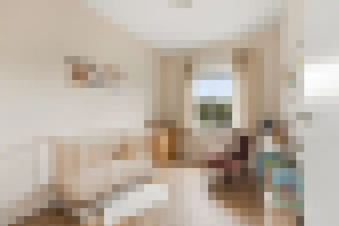 Droogdok 6 Ridderkerk thumbnail 20