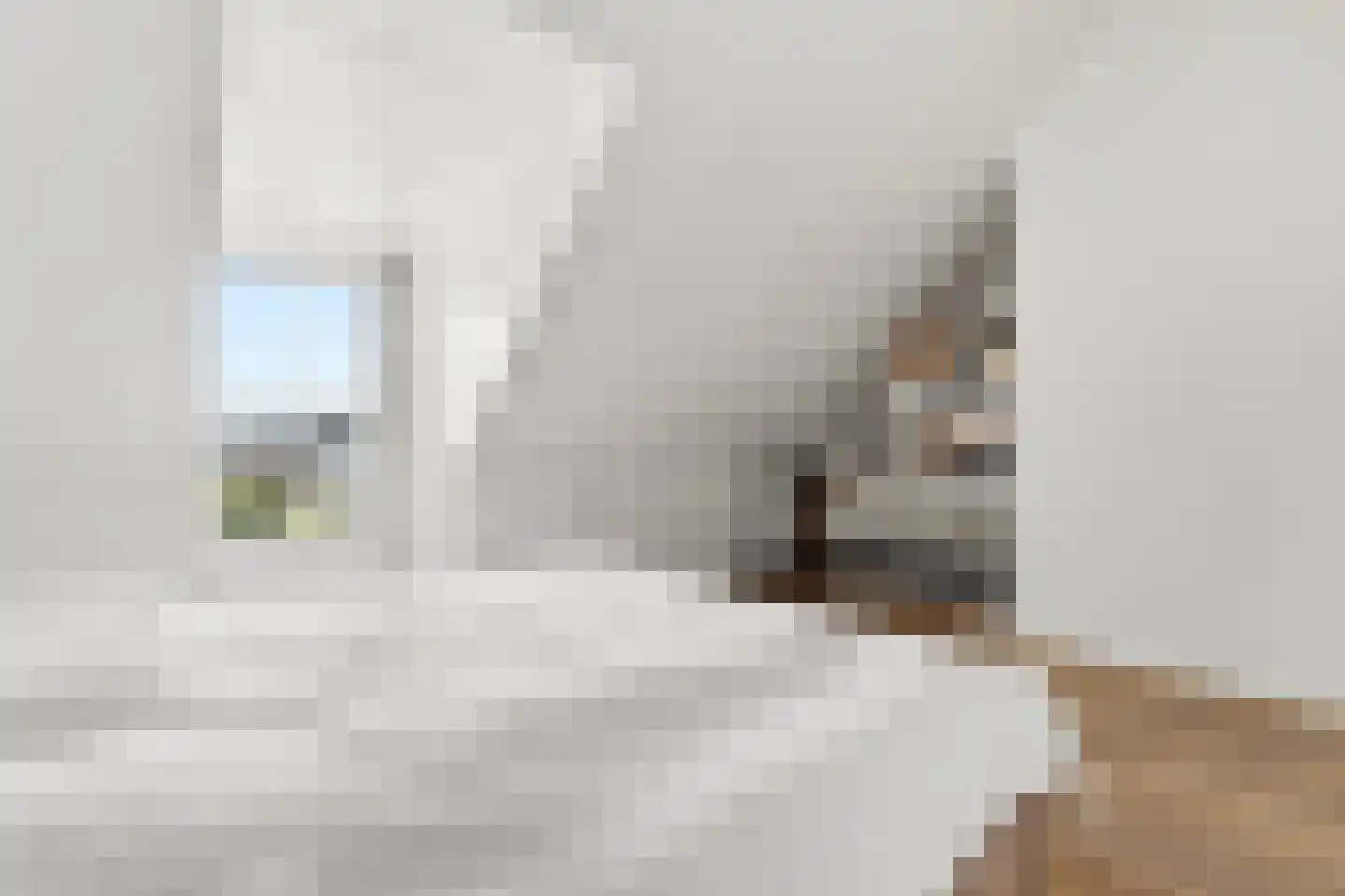 Droogdok 6 Ridderkerk thumbnail 36