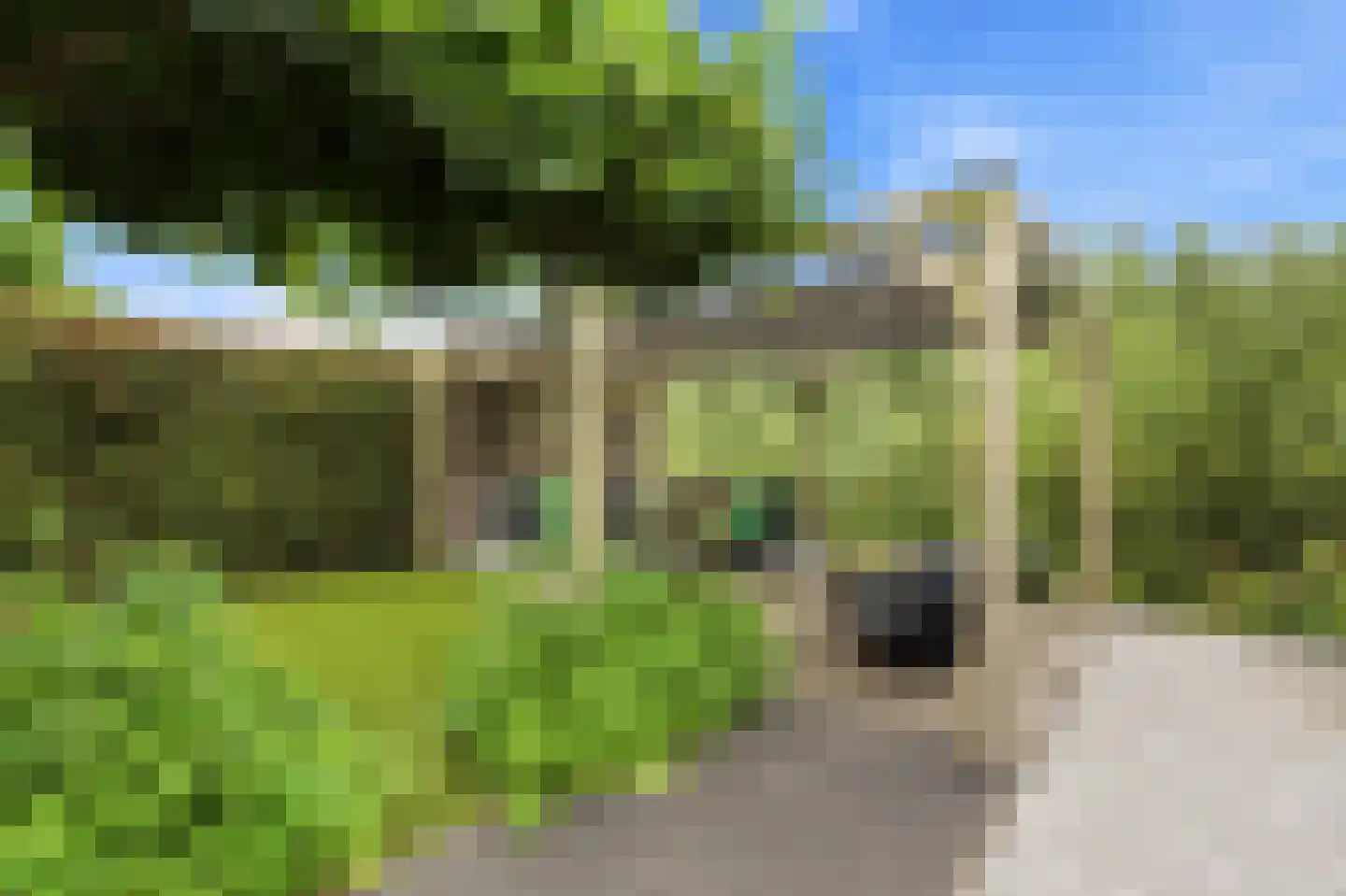 Droogdok 6 Ridderkerk thumbnail 41