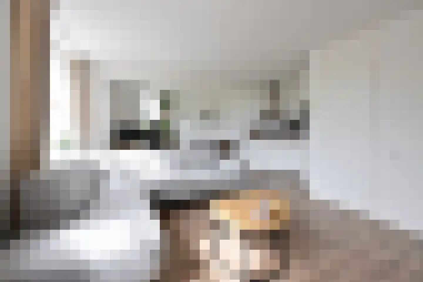 Droogdok 62 Huizen thumbnail 4