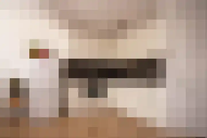 Droogdok 66 Huizen thumbnail 6