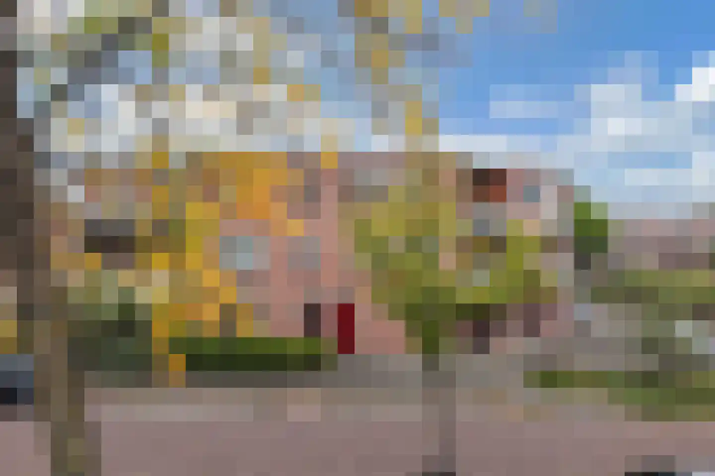 Droogdok 7 in Huizen