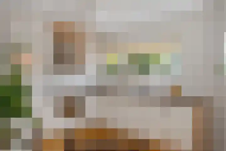 Drooghe Bol 2015 Julianadorp thumbnail 10