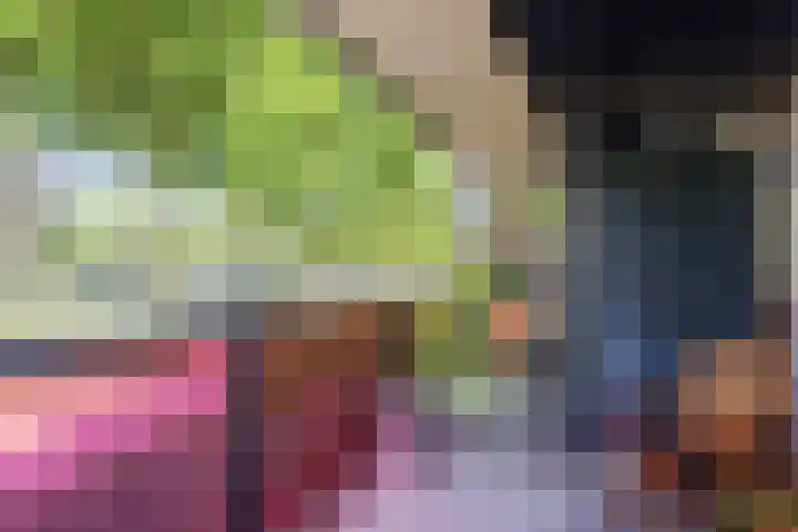 Drooghe Bol 2015 Julianadorp thumbnail 11