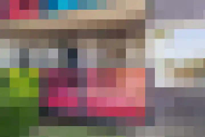 Drooghe Bol 2015 Julianadorp thumbnail 12