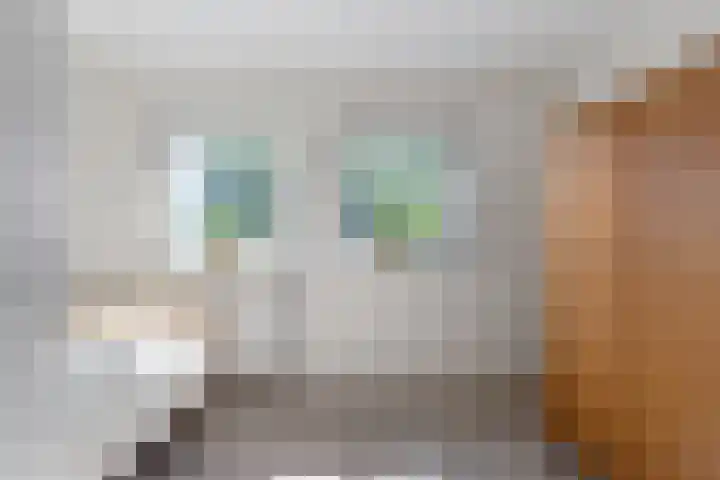 Drooghe Bol 2015 Julianadorp thumbnail 17
