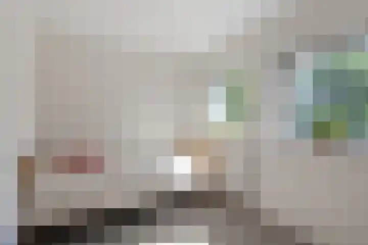 Drooghe Bol 2015 Julianadorp thumbnail 18