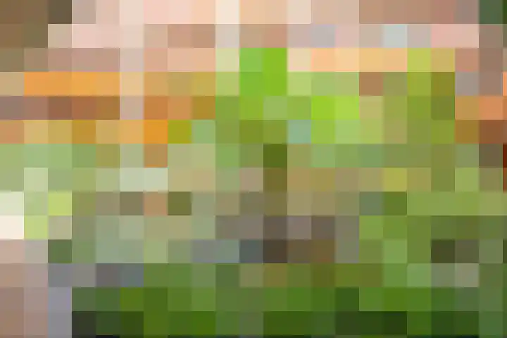 Drooghe Bol 2015 Julianadorp thumbnail 20