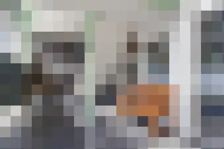 Drooghe Bol 2015 Julianadorp thumbnail 21