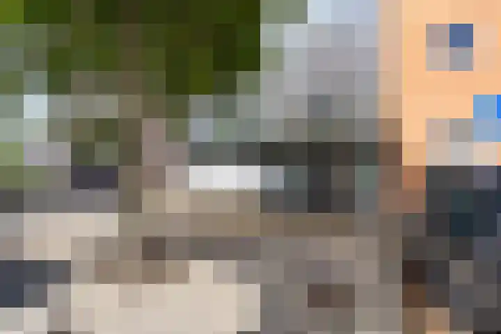 Drooghe Bol 2015 Julianadorp thumbnail 23