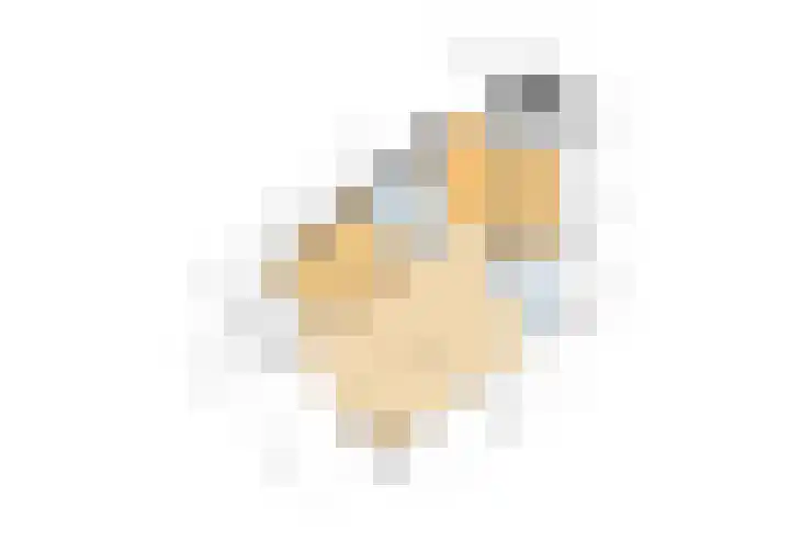 Drooghe Bol 2015 Julianadorp thumbnail 24