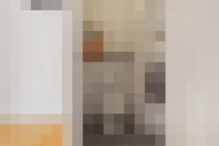 Drooghe Bol 2015 Julianadorp thumbnail 4