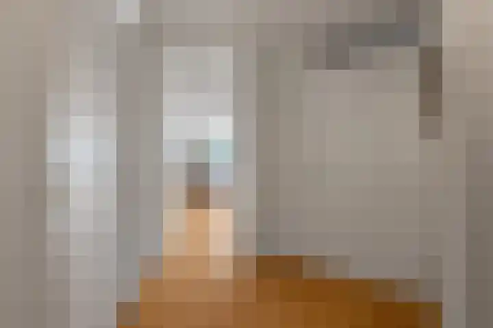 Drooghe Bol 2015 Julianadorp thumbnail 5