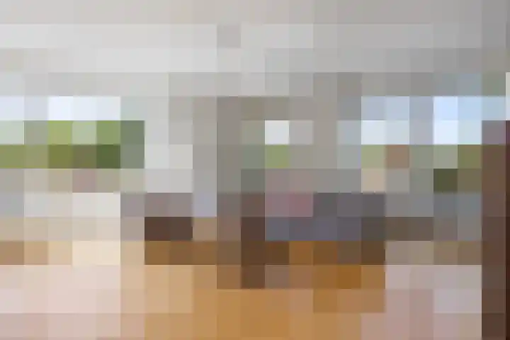 Drooghe Bol 2015 Julianadorp thumbnail 7