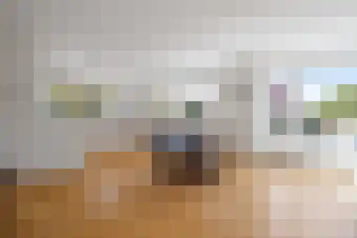 Drooghe Bol 2015 Julianadorp thumbnail 9