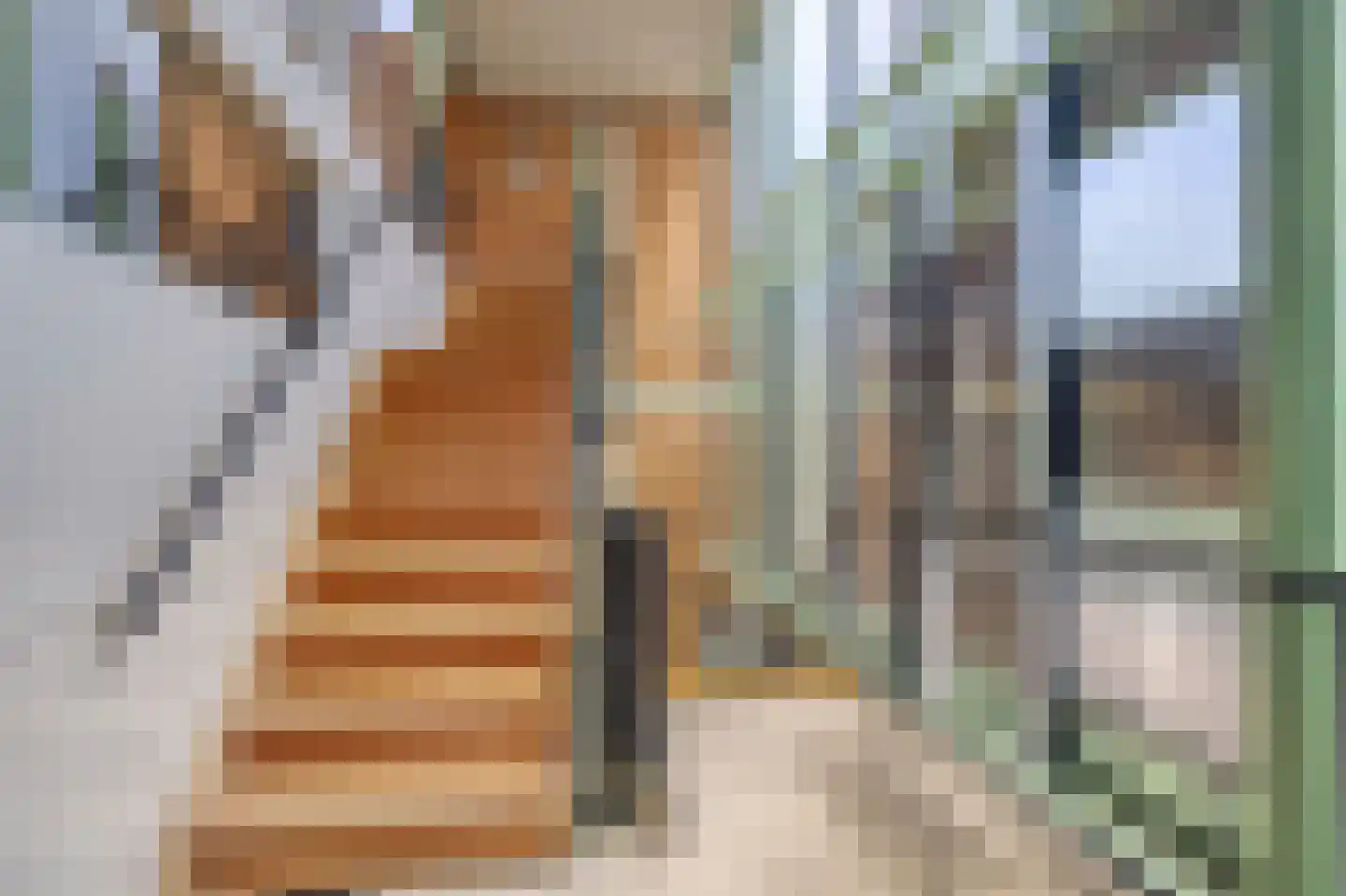 Drooghe Bol 2016 Julianadorp thumbnail 4