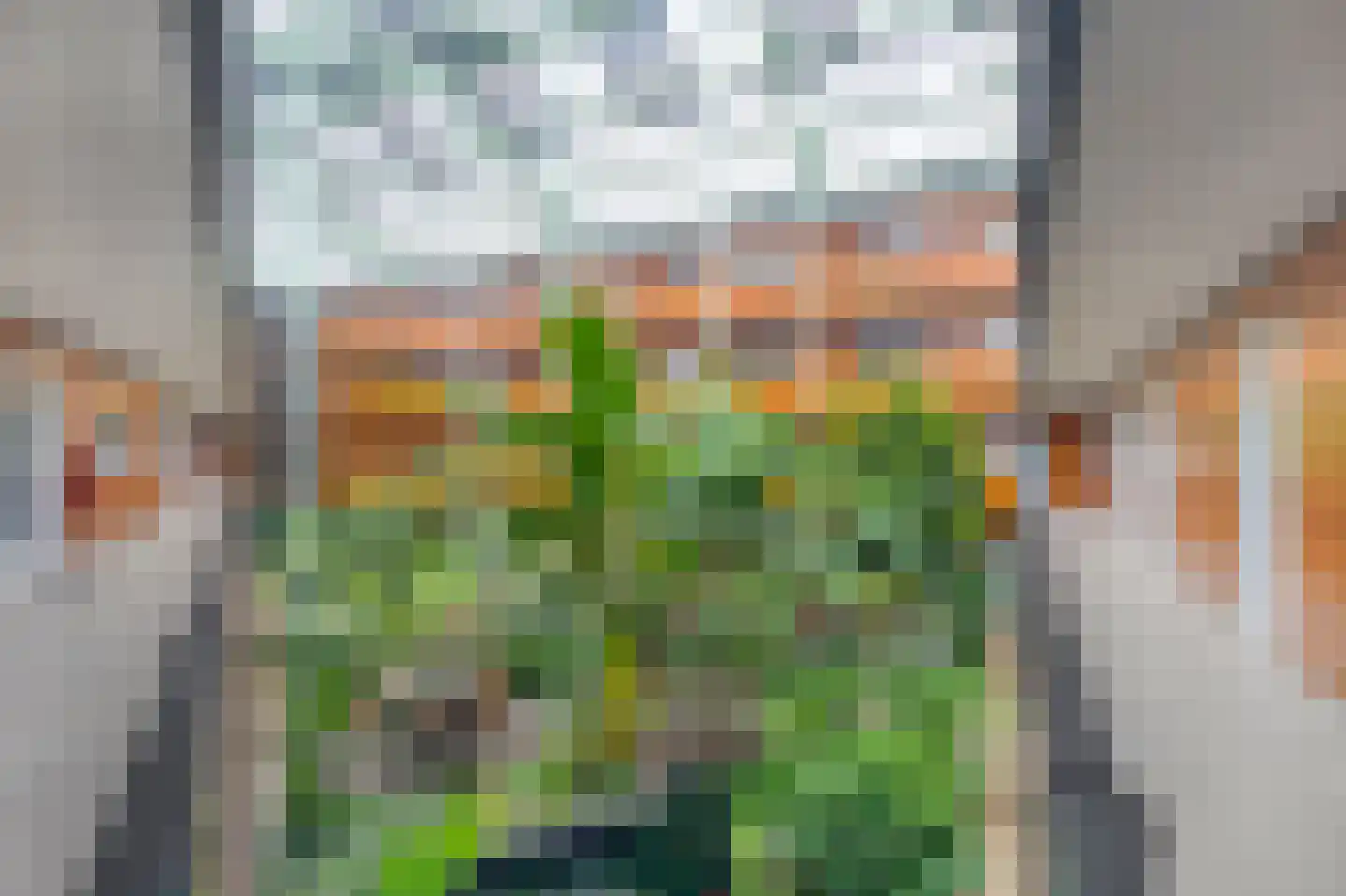 Drooghe Bol 2016 Julianadorp thumbnail 6