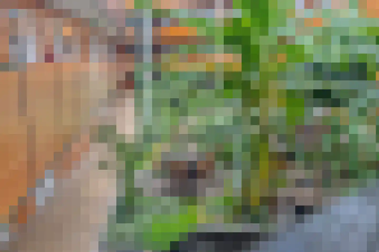 Drooghe Bol 2016 Julianadorp thumbnail 8