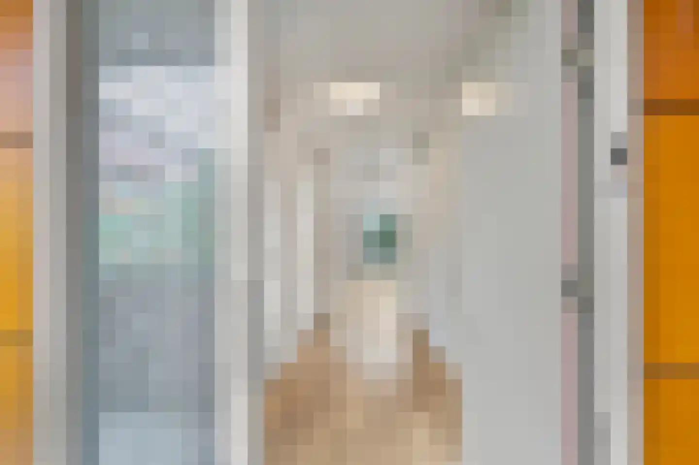 Drooghe Bol 2016 Julianadorp thumbnail 9