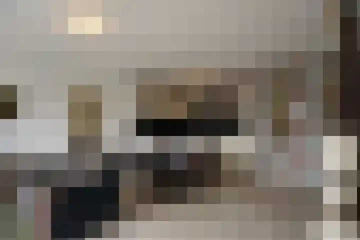Drooghe Bol 2020 Julianadorp thumbnail 10