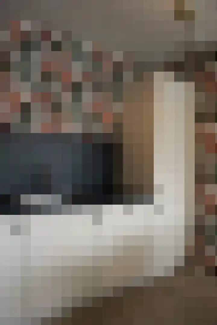 Drooghe Bol 2020 Julianadorp thumbnail 12