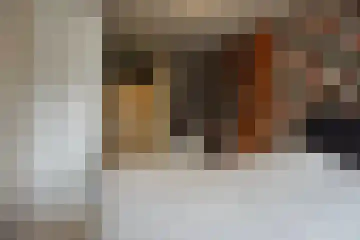 Drooghe Bol 2020 Julianadorp thumbnail 14