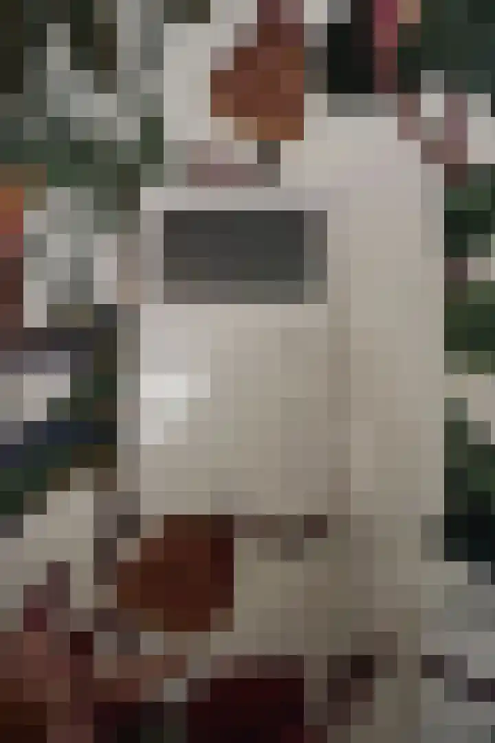 Drooghe Bol 2020 Julianadorp thumbnail 21