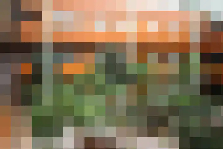 Drooghe Bol 2020 Julianadorp thumbnail 24