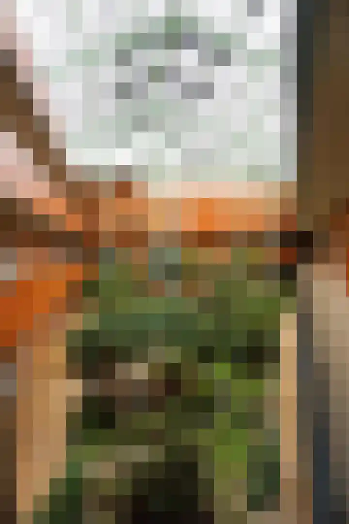 Drooghe Bol 2020 Julianadorp thumbnail 26