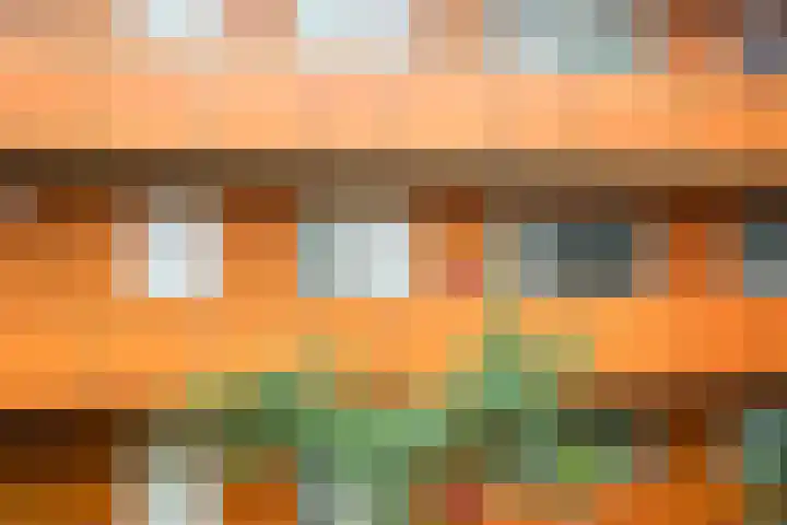 Drooghe Bol 2020 Julianadorp thumbnail 27