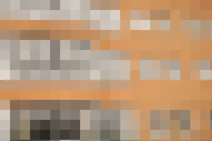 Drooghe Bol 2020 Julianadorp thumbnail 28