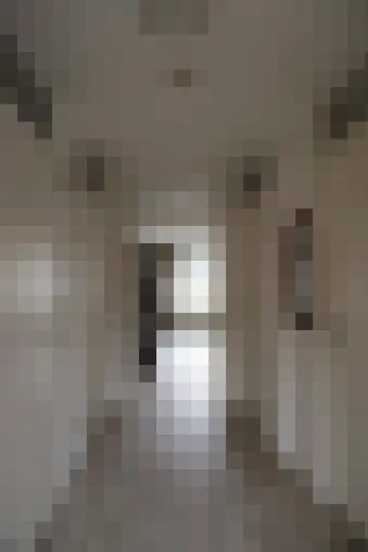 Drooghe Bol 2020 Julianadorp thumbnail 4