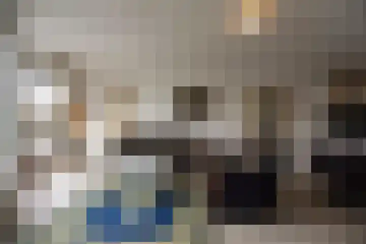Drooghe Bol 2020 Julianadorp thumbnail 5