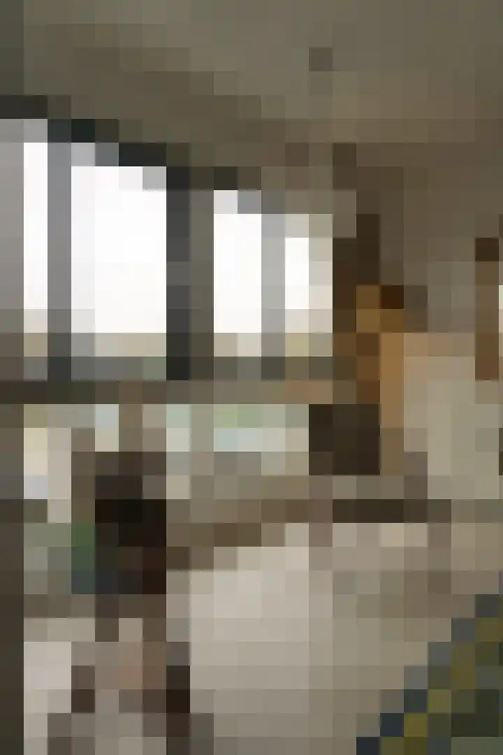 Drooghe Bol 2020 Julianadorp thumbnail 8