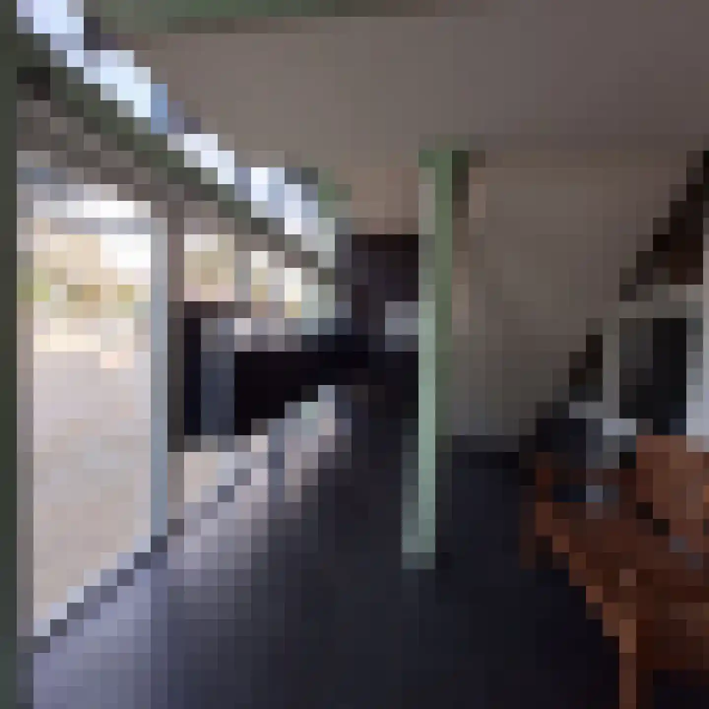 Drooghe Bol 2028 Julianadorp thumbnail 10