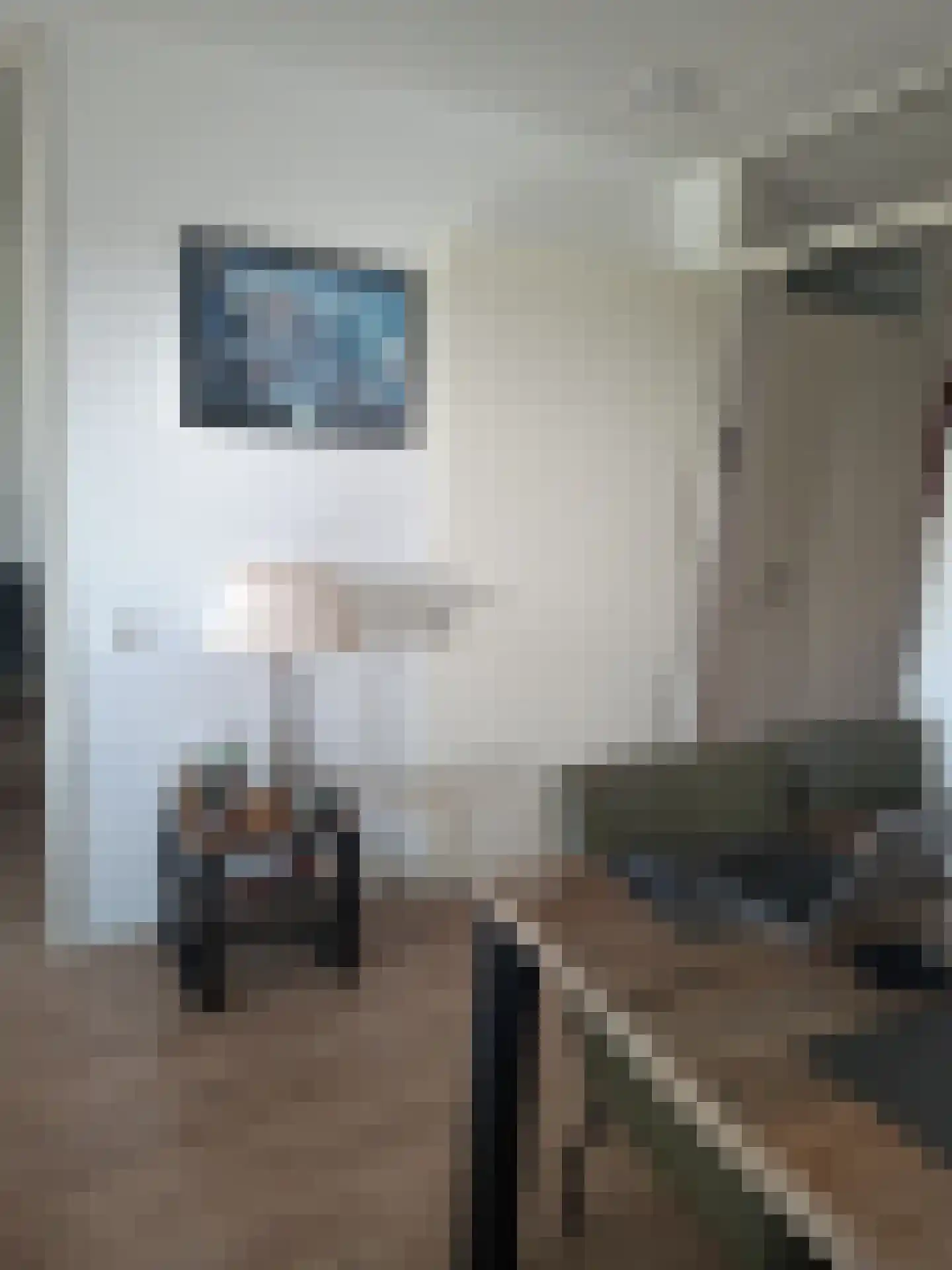 Drooghe Bol 2028 Julianadorp thumbnail 16