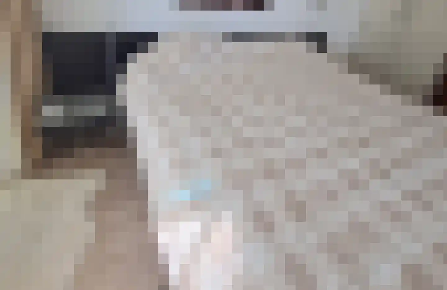 Drooghe Bol 2028 Julianadorp thumbnail 20