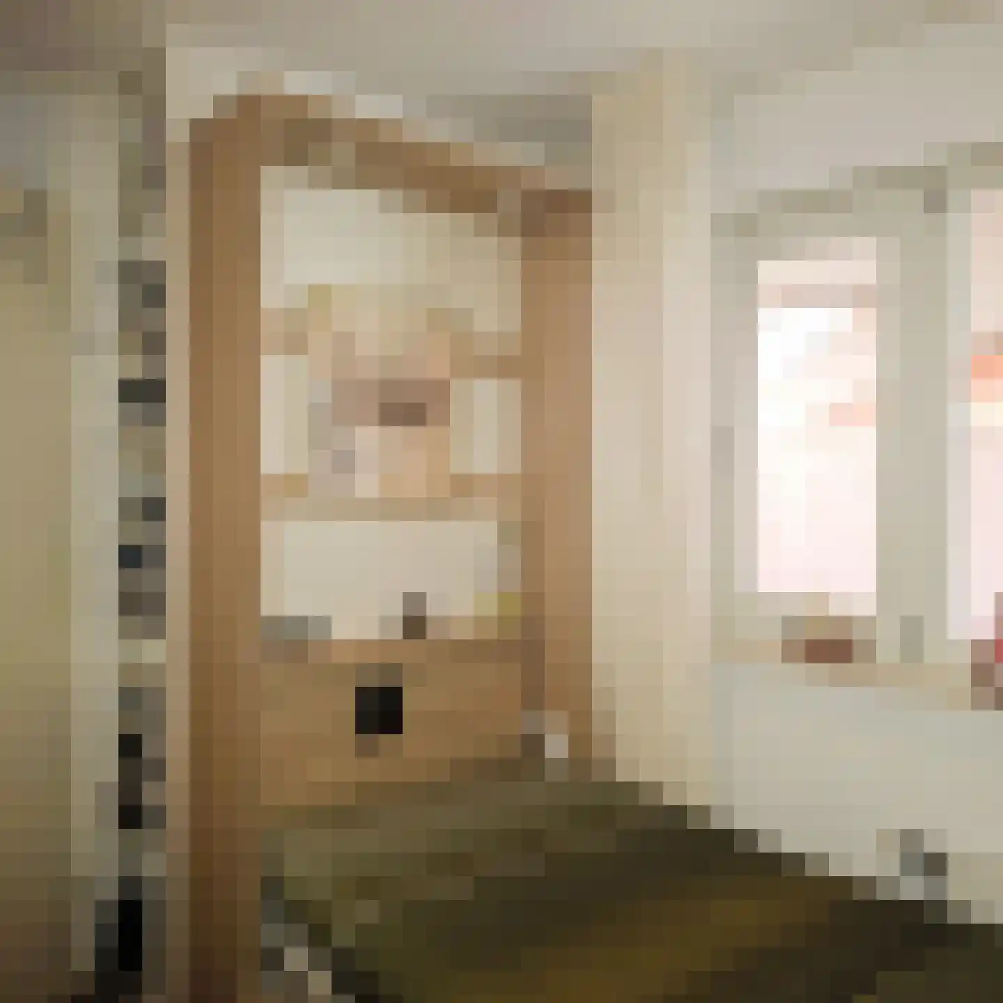 Drooghe Bol 2028 Julianadorp thumbnail 22