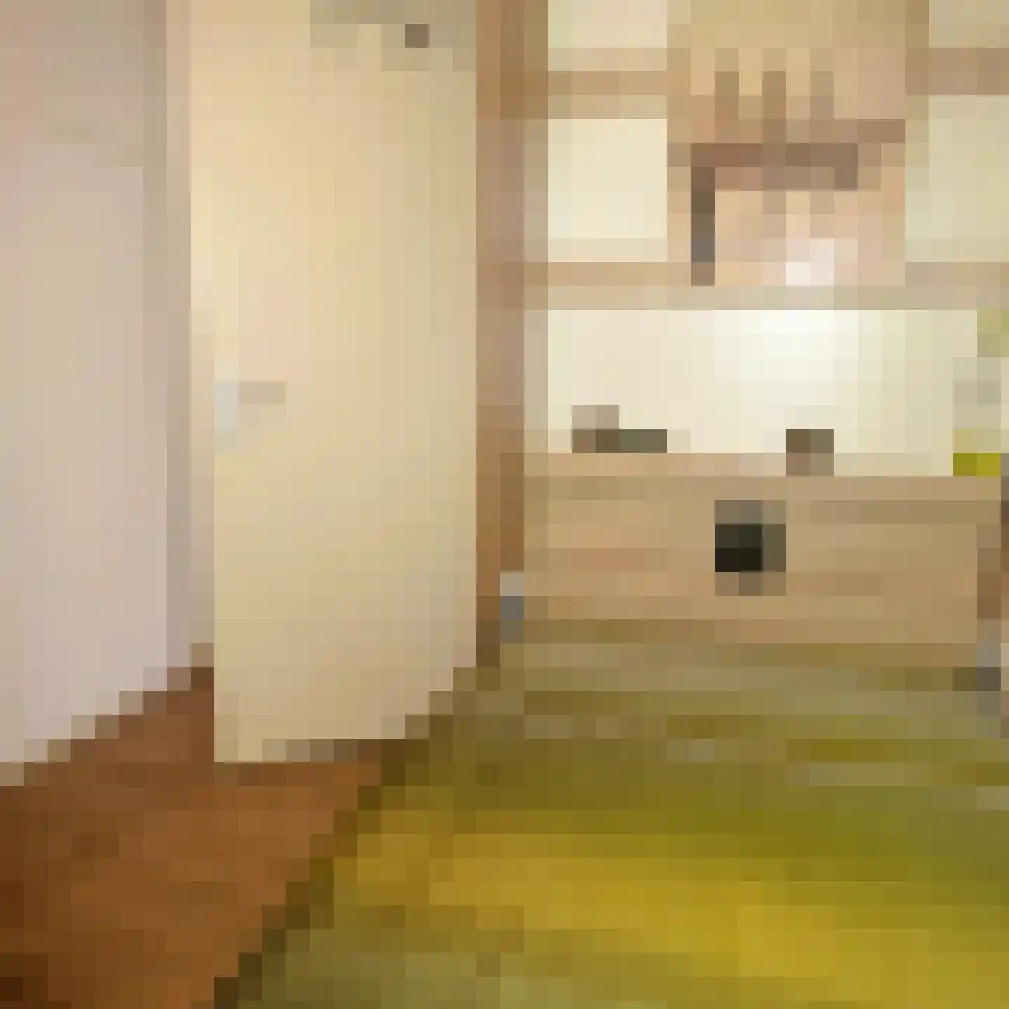Drooghe Bol 2028 Julianadorp thumbnail 23