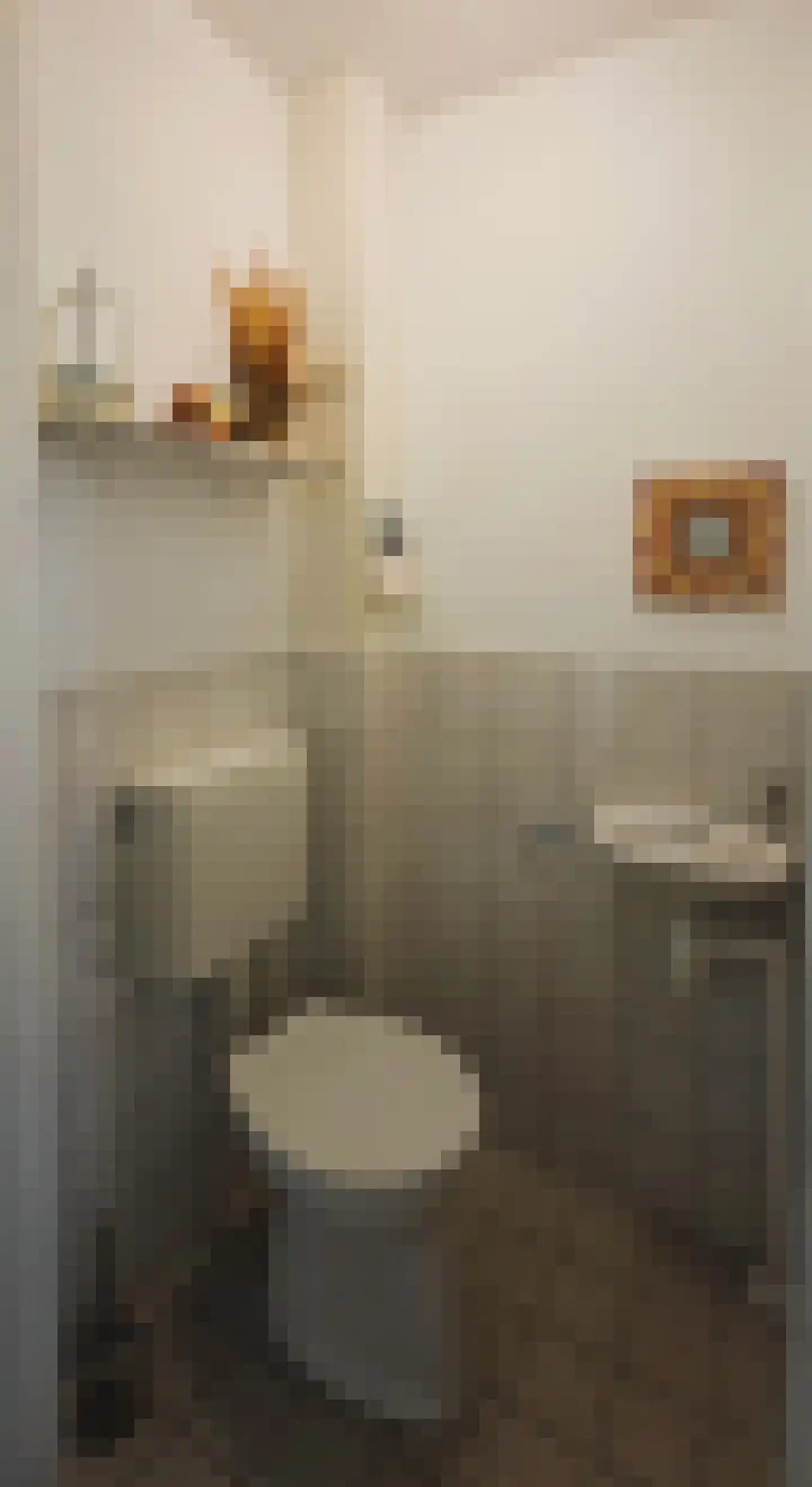 Drooghe Bol 2028 Julianadorp thumbnail 32