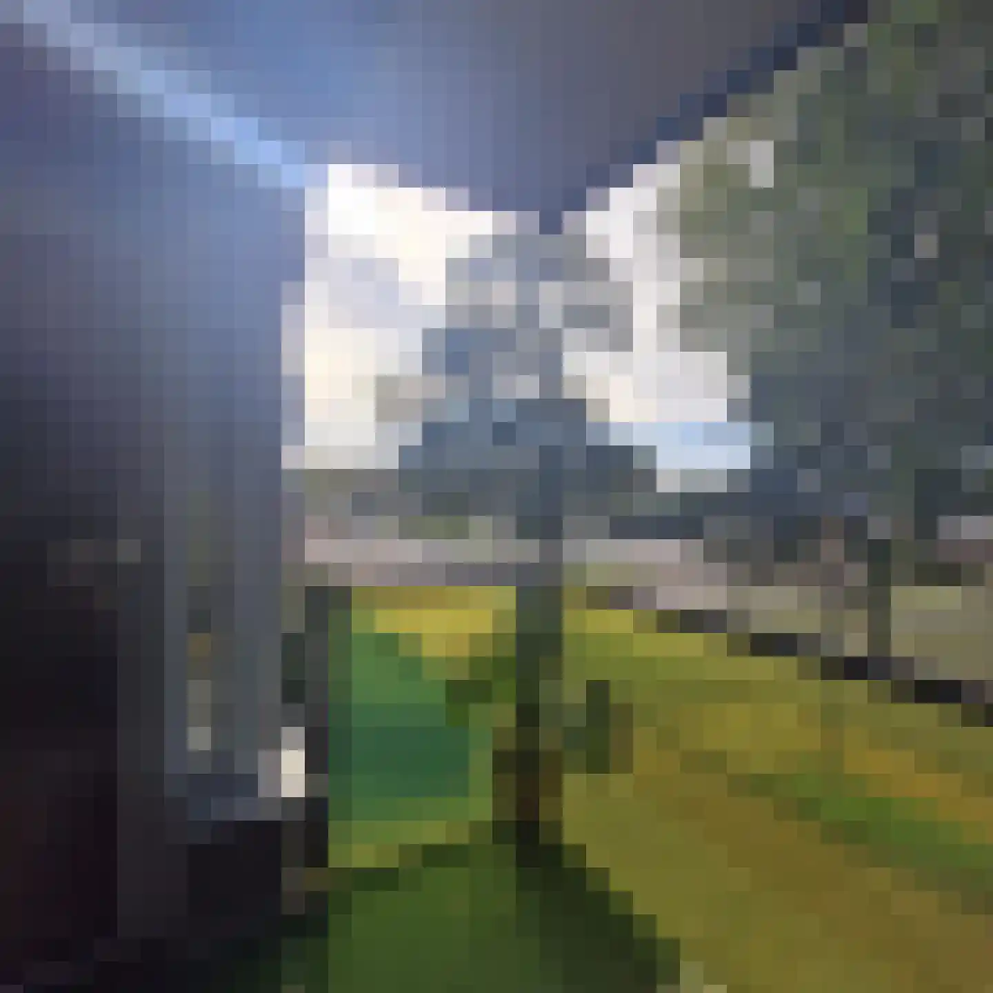 Drooghe Bol 2028 Julianadorp thumbnail 33