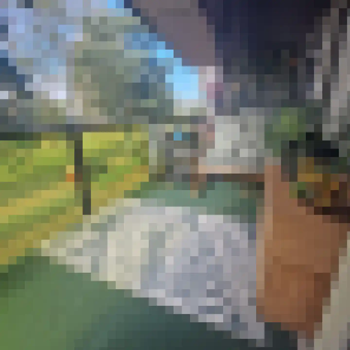 Drooghe Bol 2028 Julianadorp thumbnail 36