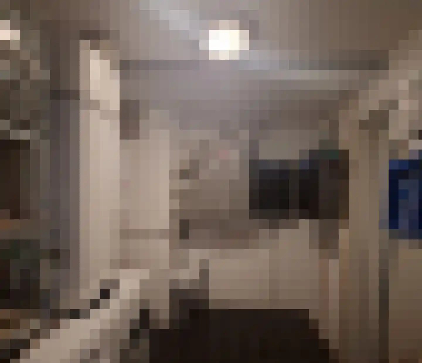 Drooghe Bol 2028 Julianadorp thumbnail 37
